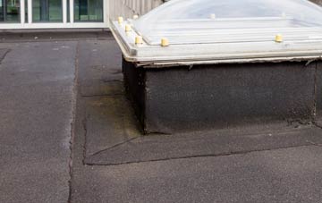 disadvantages of Tytherton Lucas flat roofs