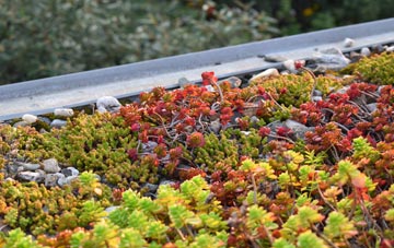 the cost of Tytherton Lucas green roof installation