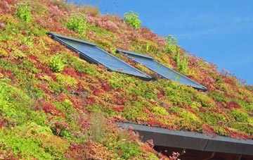 Tytherton Lucas living roof systems