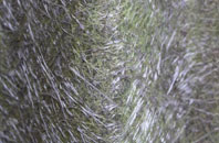 Tytherton Lucas fibreglass roof work